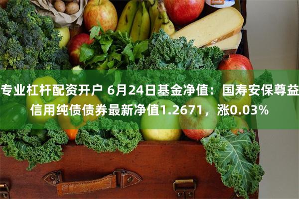 专业杠杆配资开户 6月24日基金净值：国寿安保尊益信用纯债债券最新净值1.2671，涨0.03%