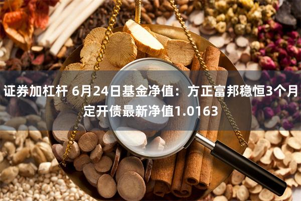 证券加杠杆 6月24日基金净值：方正富邦稳恒3个月定开债最新净值1.0163