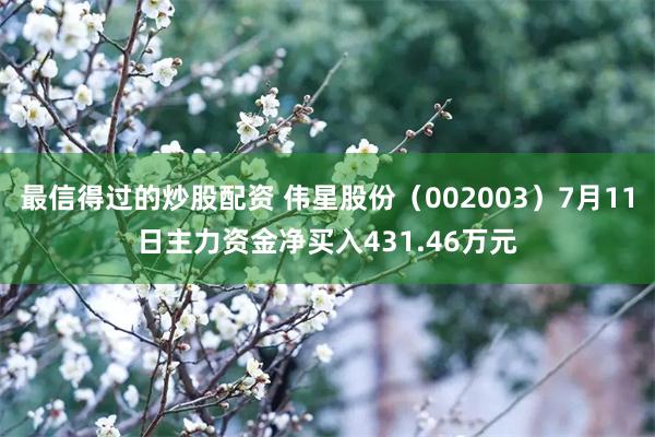 最信得过的炒股配资 伟星股份（002003）7月11日主力资金净买入431.46万元