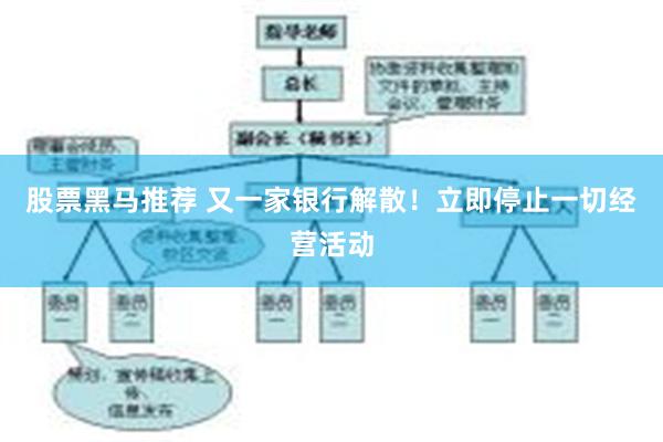 股票黑马推荐 又一家银行解散！立即停止一切经营活动