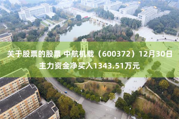 关于股票的股票 中航机载（600372）12月30日主力资金净买入1343.51万元