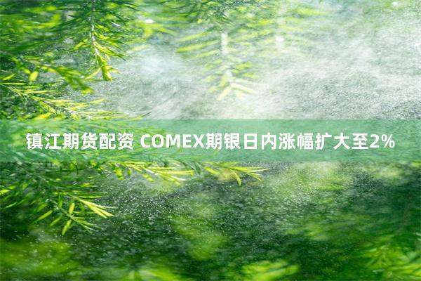 镇江期货配资 COMEX期银日内涨幅扩大至2%